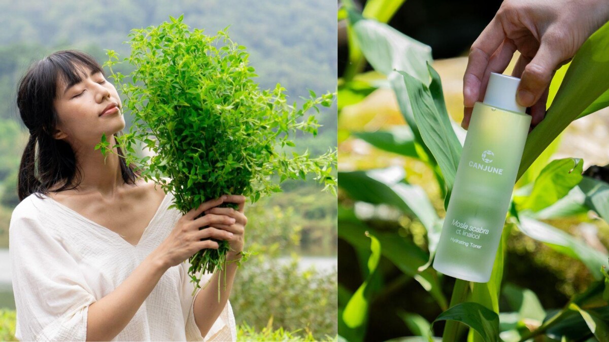 台灣原生「犬香薷」保濕化妝水問世！肯園以永續耕作，讓土地、肌膚、情緒一起變美，實踐療癒保養新願景