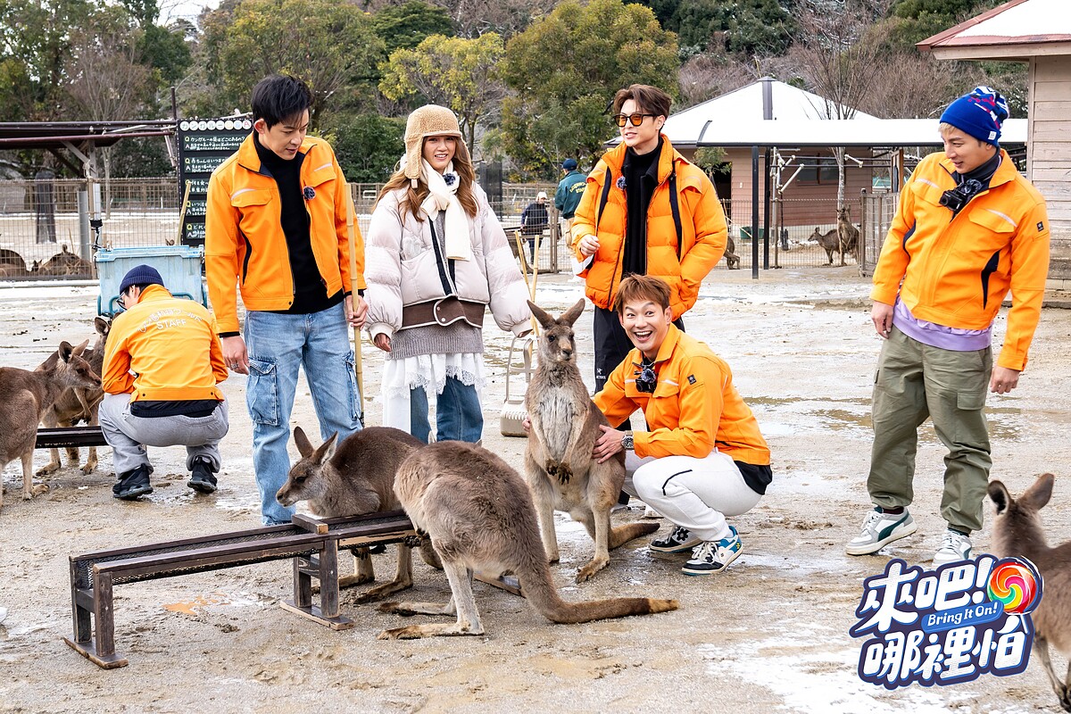 六棒造訪響動物世界 把握機會與袋鼠近距離接觸。