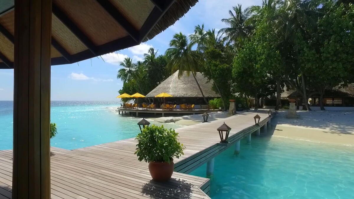 Photo / 塔羅耳語