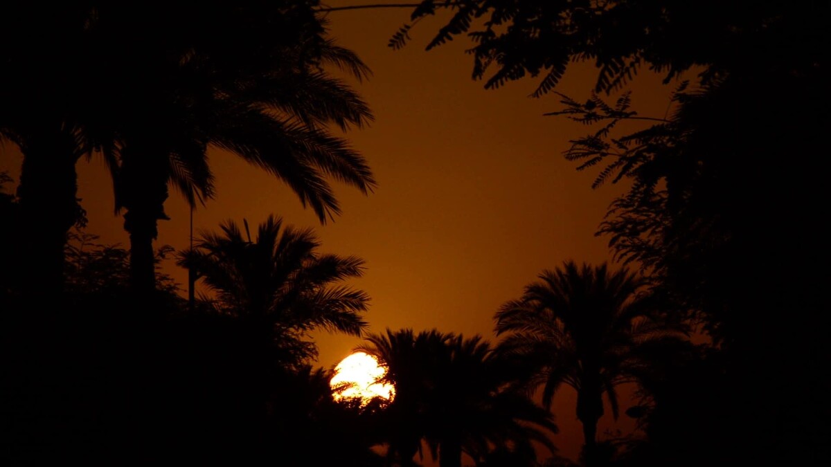 Photo / 塔羅耳語