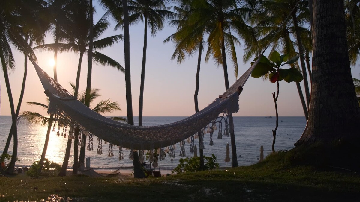 Photo / 塔羅耳語