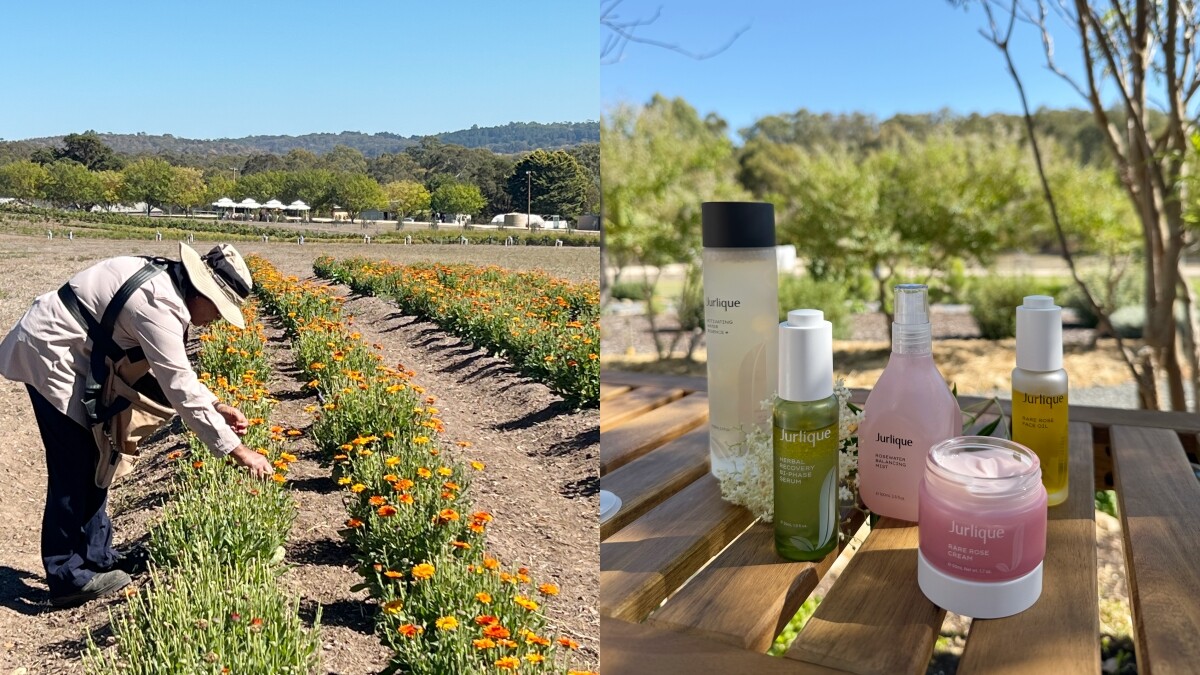 【美妝說書人】Jurlique茱莉蔻創立40週年！直擊南澳活機農場，來一場從種子到肌膚的神奇之旅