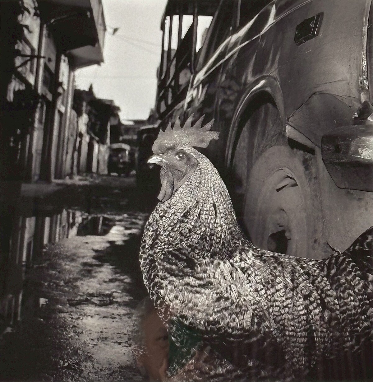 Hanoi - 瀨戶正人 日本攝影大師原作展 1985年_16x20 英吋