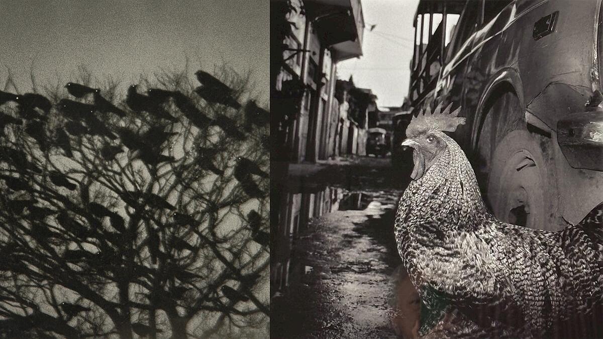 攝影集市集&amp;amp;大師分享 Photo ONE’25 台北國際影像藝術節在華山 三大亮點一次看