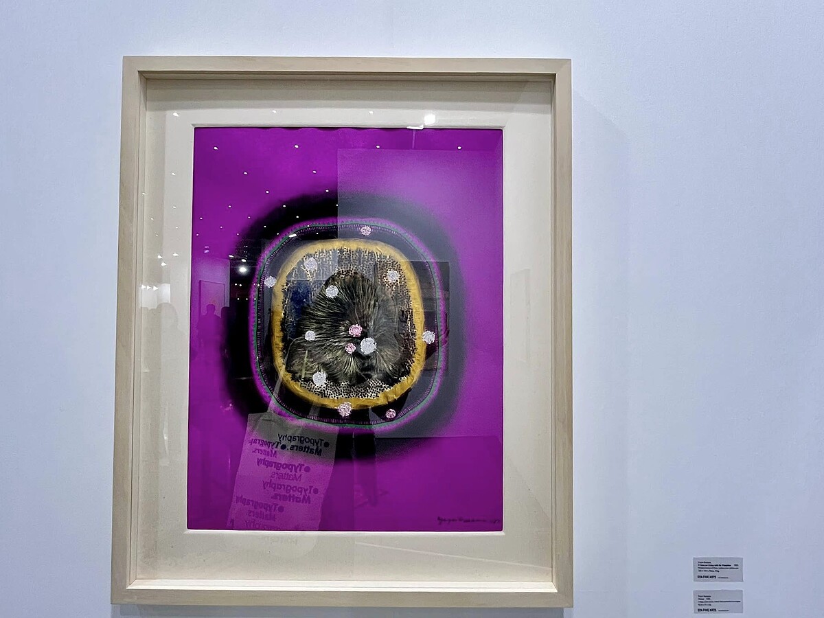 Melody TU 採訪拍攝