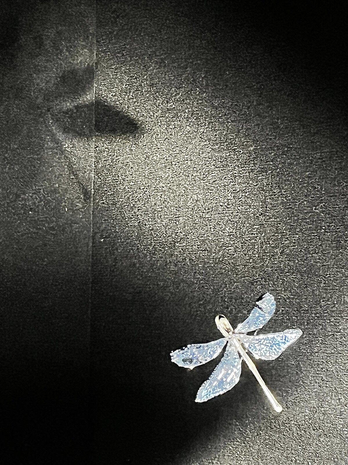 Melody TU 採訪拍攝。