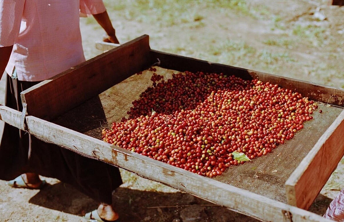 從選豆、烘焙到店鋪設計都有一貫的風格。