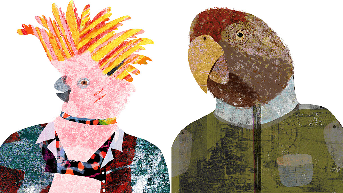 【星星教授安格斯 5/19-5/25 星座運勢】牡羊自帶高光，摩羯當心家人介入感情