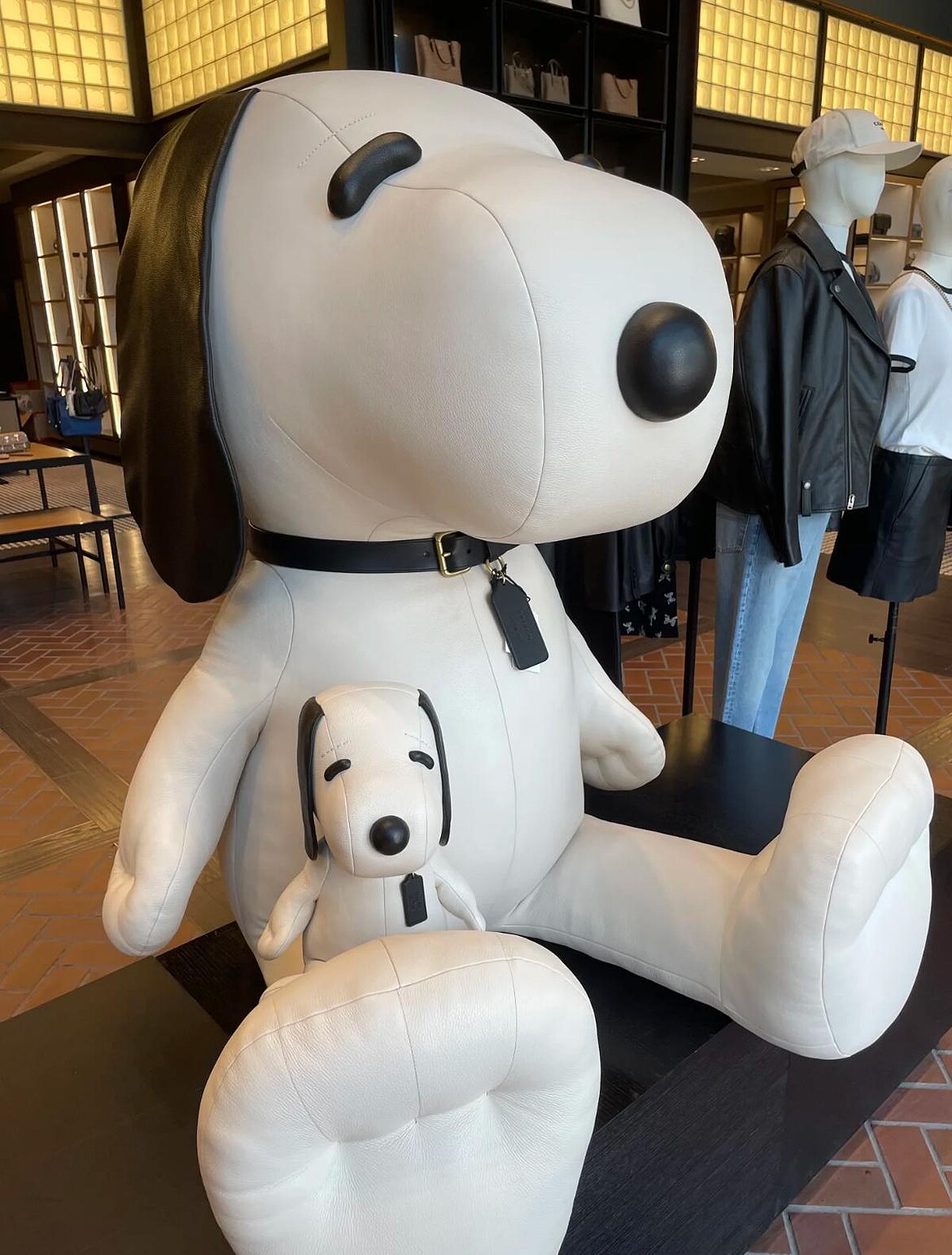 小紅書@薄荷美点点。