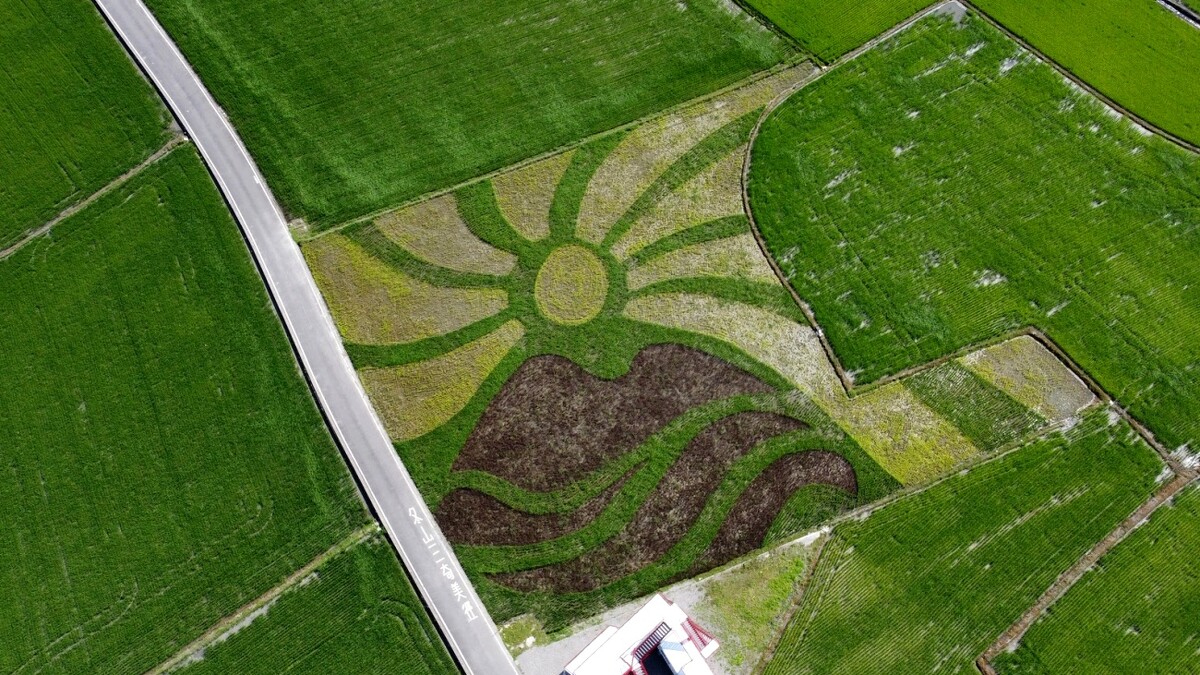 2025宜蘭三奇美徑「彩繪稻田」