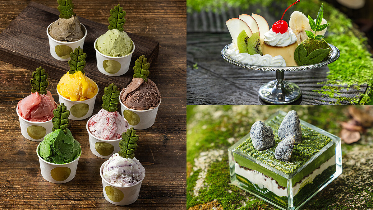 都市裡的森林系茶屋！「箱庭 山本屋」5大亮點，從甜點到空間打造全感官日式侘寂美學