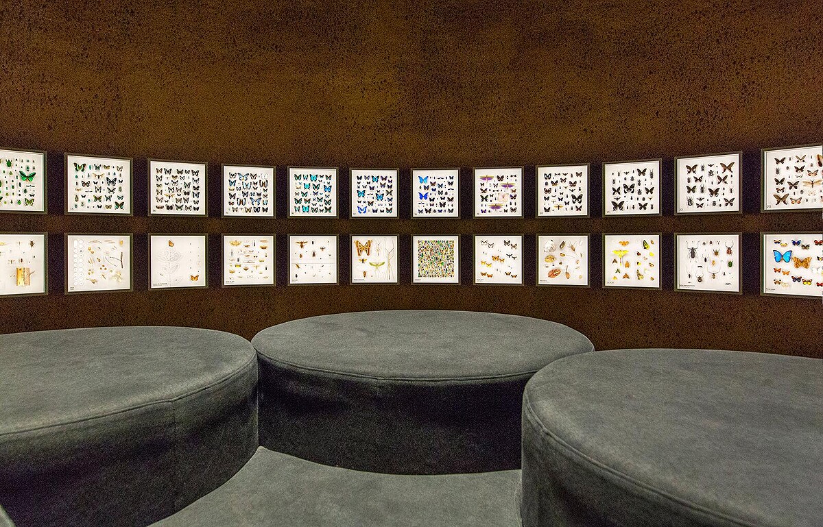 嬌蘭將與生命空間基金會合作推出全新BEE SCHOOL教程-蒙特婁昆蟲館影像資料 &copy; Fabrication Atelier Aktuel