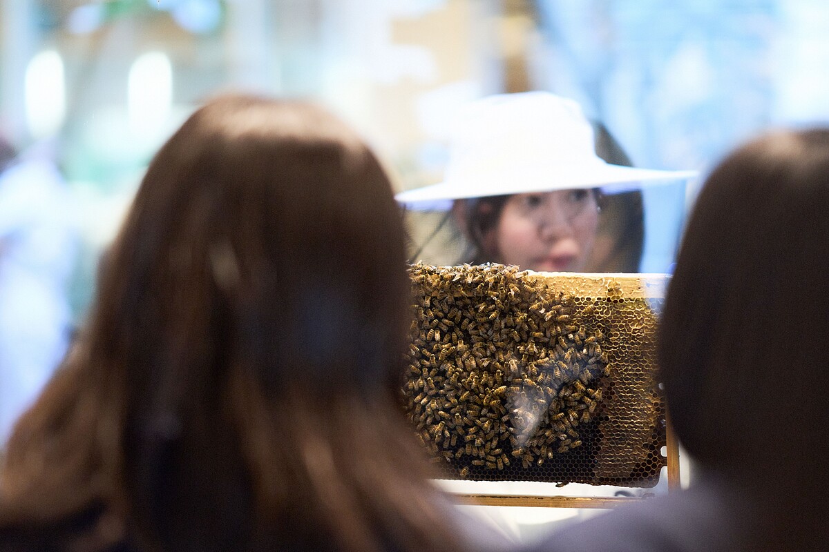 &copy; Keiichiro Nakajima