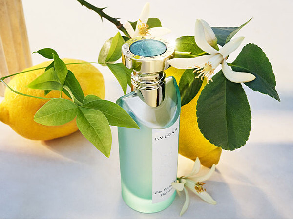 寶格麗綠茶中性淡香水75ml，NT5,100
