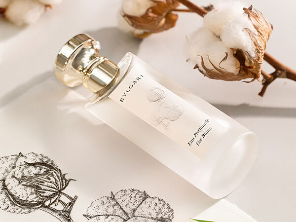 寶格麗白茶中性淡香水75ml，NT5,100