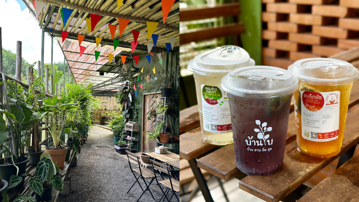 拷叻咖啡廳推薦Baan Bai Tea Caf&eacute; & Coffee