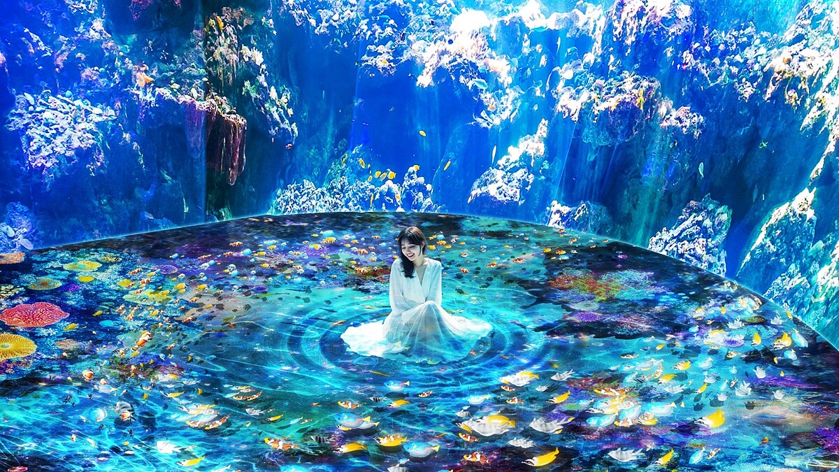 Xpark史上最大規模升級！開幕5周年推沉浸式海洋藝術展，七大展區搶先看