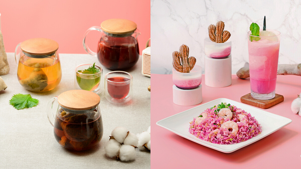 喝了超有感！檀島香港餐廳攜手茗京萃 推出五行養生簡單飲 專治”不喜喝白開水的水水”！