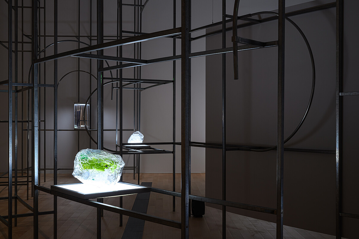 全昭侹 (JUN Sojung),〈在絕望中重生〉(Despair to be Reborn),2020。(新北市美術館提供,攝影:王世邦。)