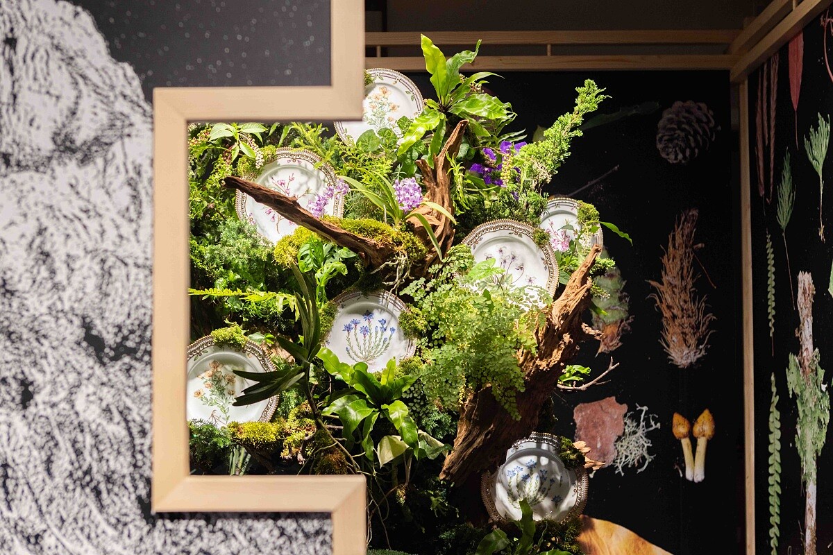 ZoneD 全球台灣獨家，「百岳高山特有種」系列。