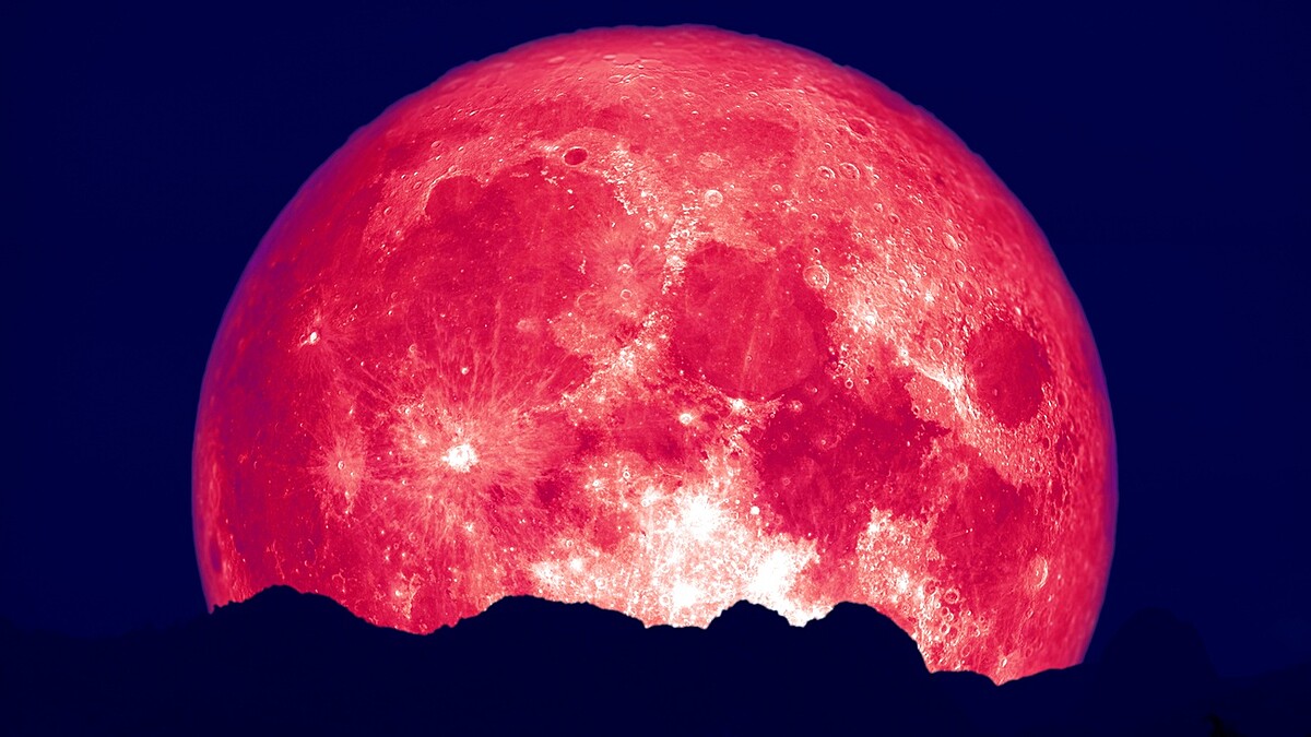 2025草莓滿月登場！粉紅月亮由來、台灣觀賞時間及向月亮許願方式一次看