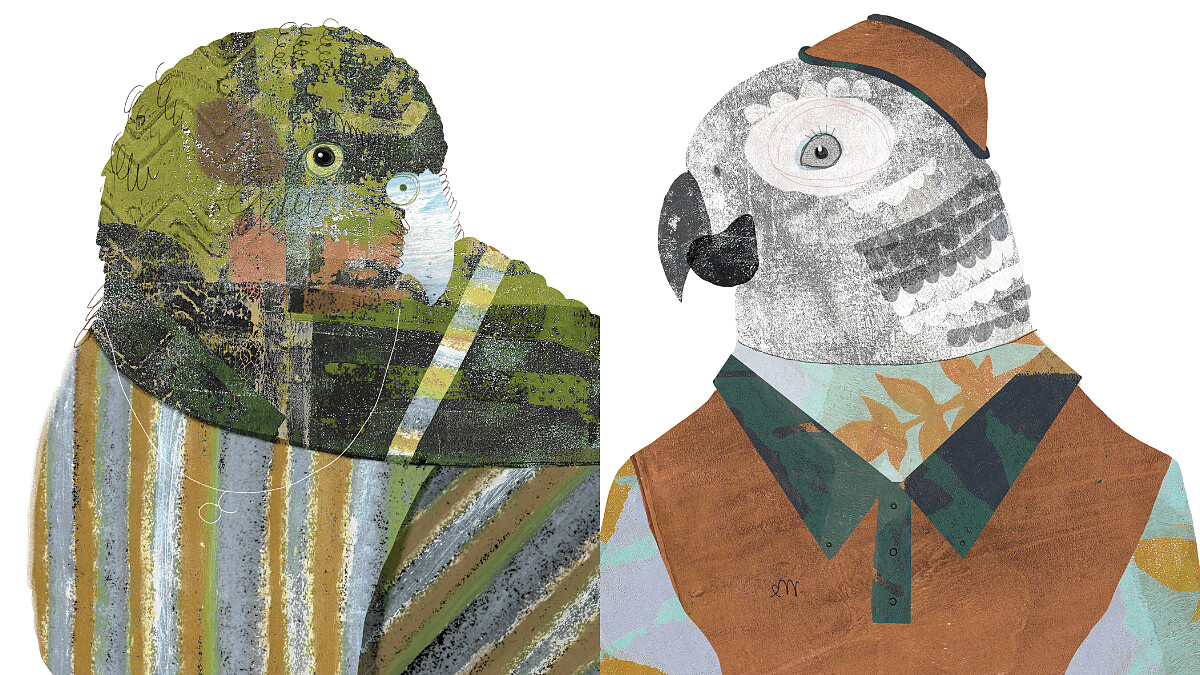 【星星教授安格斯 6/16-6/22 星座運勢】金牛發揮溫柔力，處女完美主義可能成壓力源