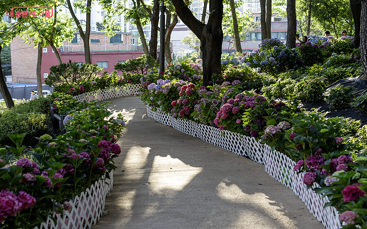 Photo/내 손안에 서울官網