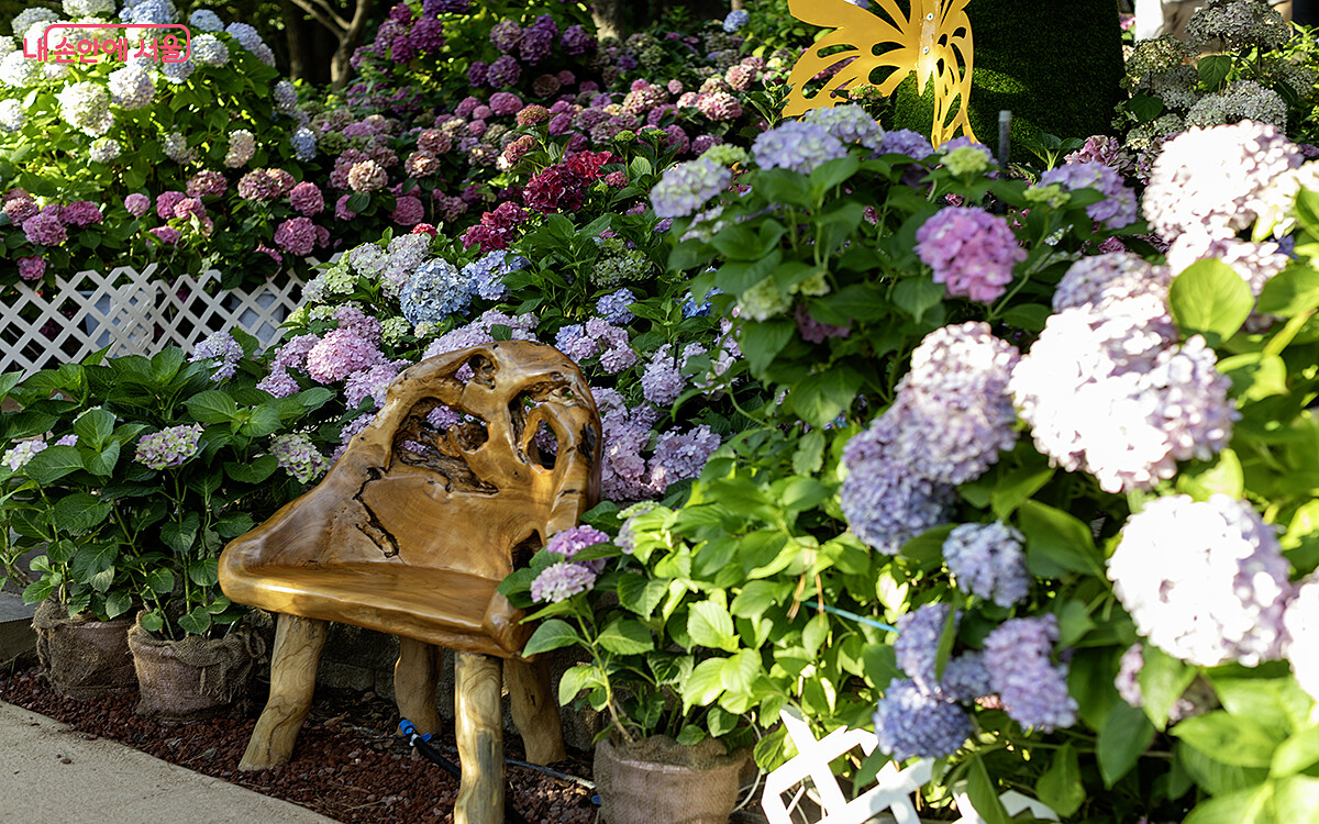 Photo/내 손안에 서울官網