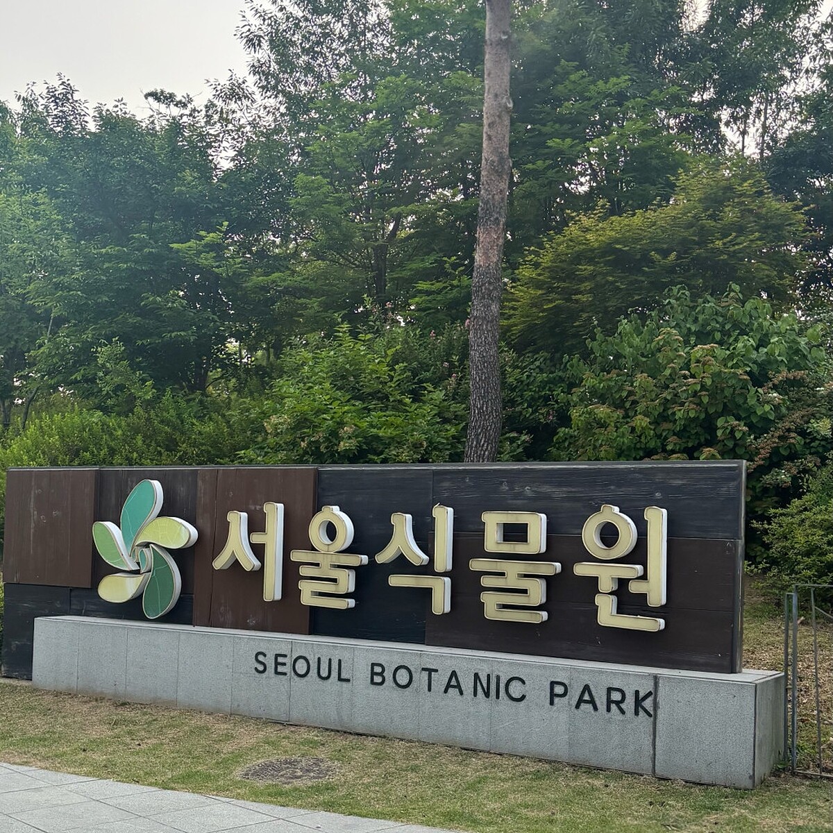 Photo/翻攝自Naver Map