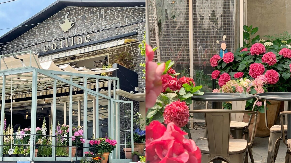 【Julia韓國觀察筆記】不需要跑遠，在首爾就能看繡球花的5大景點介紹