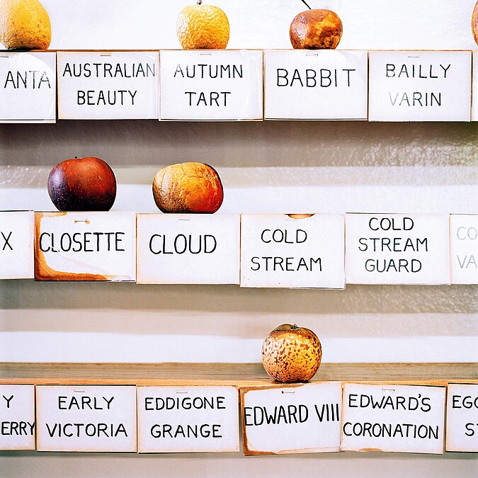 蘋果與遺產博物館 Apple & Heritage Museum, Huonville TAS &copy;Simone Rosenbauer