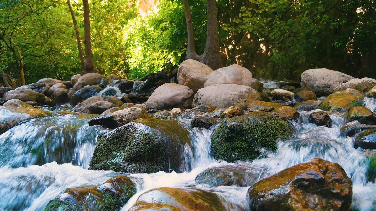 Photo / 塔羅耳語