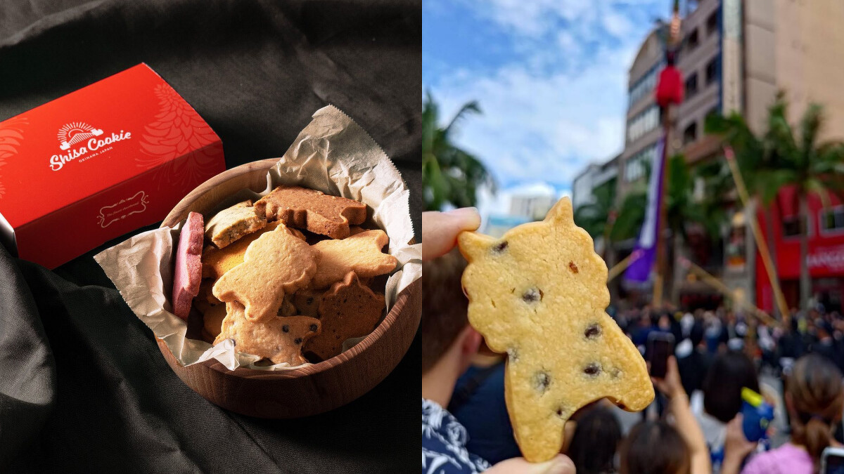 Photo/IG@Shisa Cookie