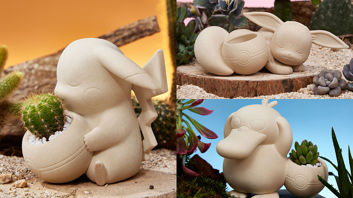 植栽控必收！有肉SUCCULAND x 寶可夢聯名，5款陶製角色盆器療癒登場