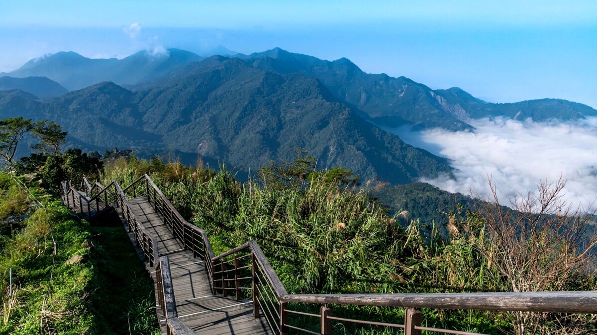 阿里山避暑秘境：二延平步道