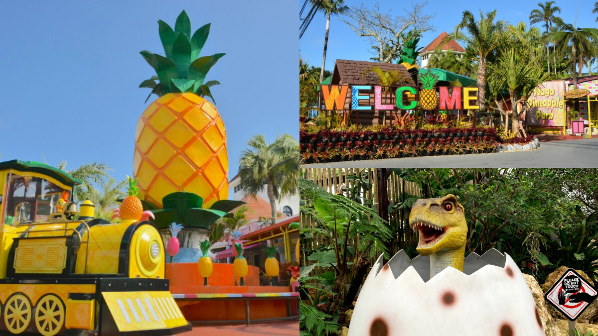 Photo／ナゴパイナップルパーク