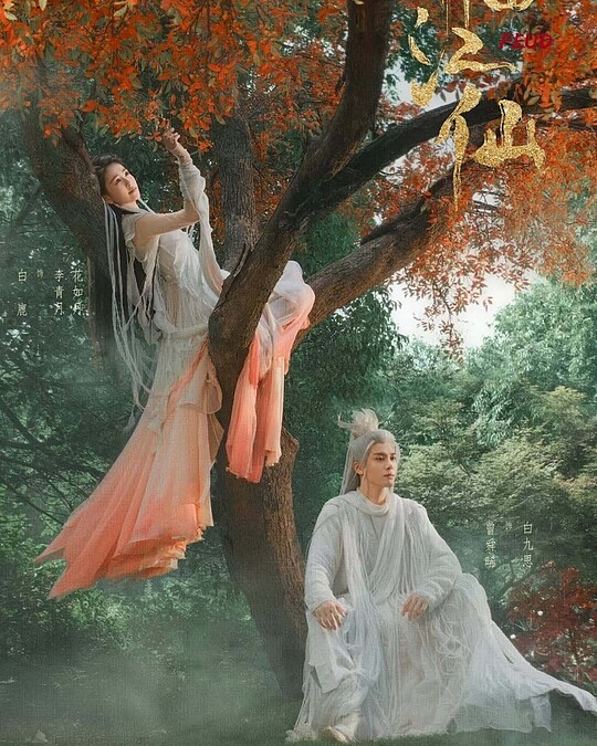 （臨江仙海報）