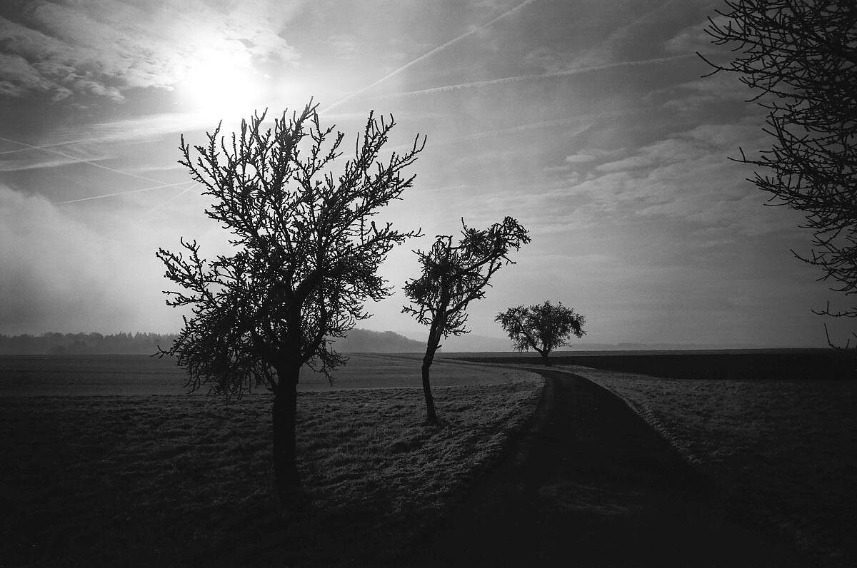 「ISO 50」即使在日照強烈的環境下，也能放心使用。