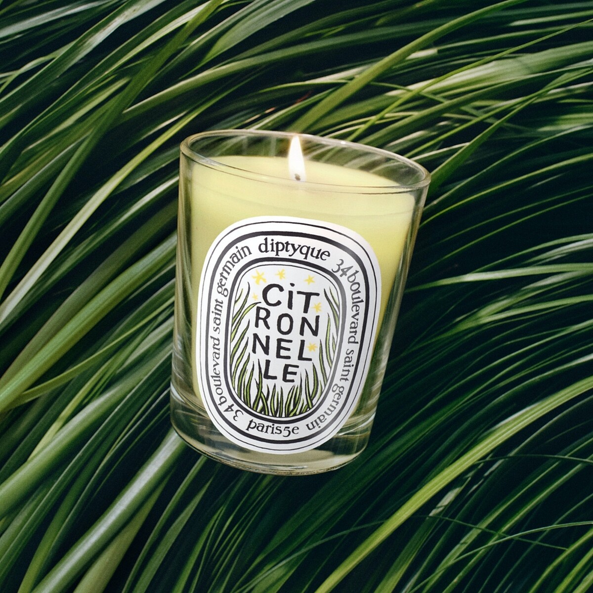 Diptyque檸檬草香氛蠟燭190g，NT2,300