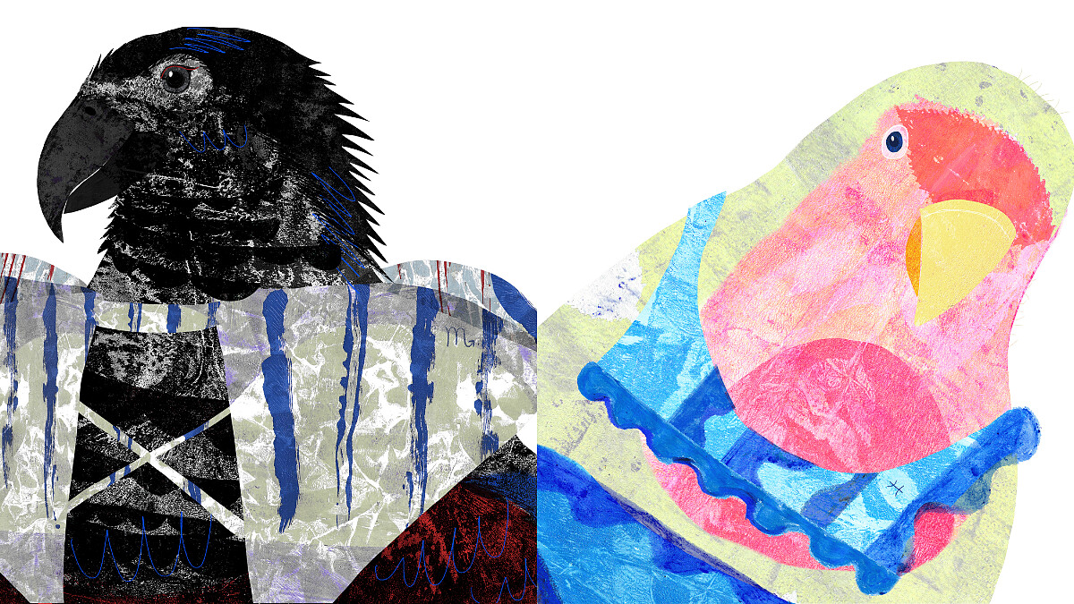 【星星教授安格斯 6/30-7/6 星座運勢】天蠍座旅遊運極強，雙魚的感性是桃花磁鐵