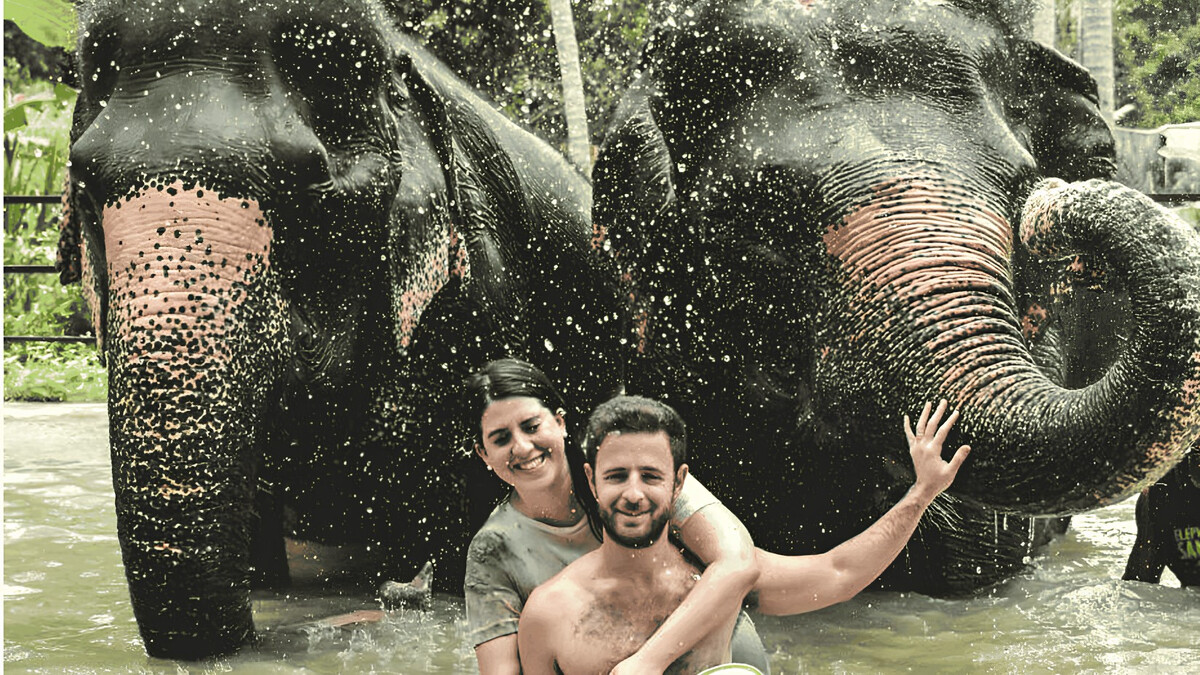 Photo by Elephant Jungle Sanctuary