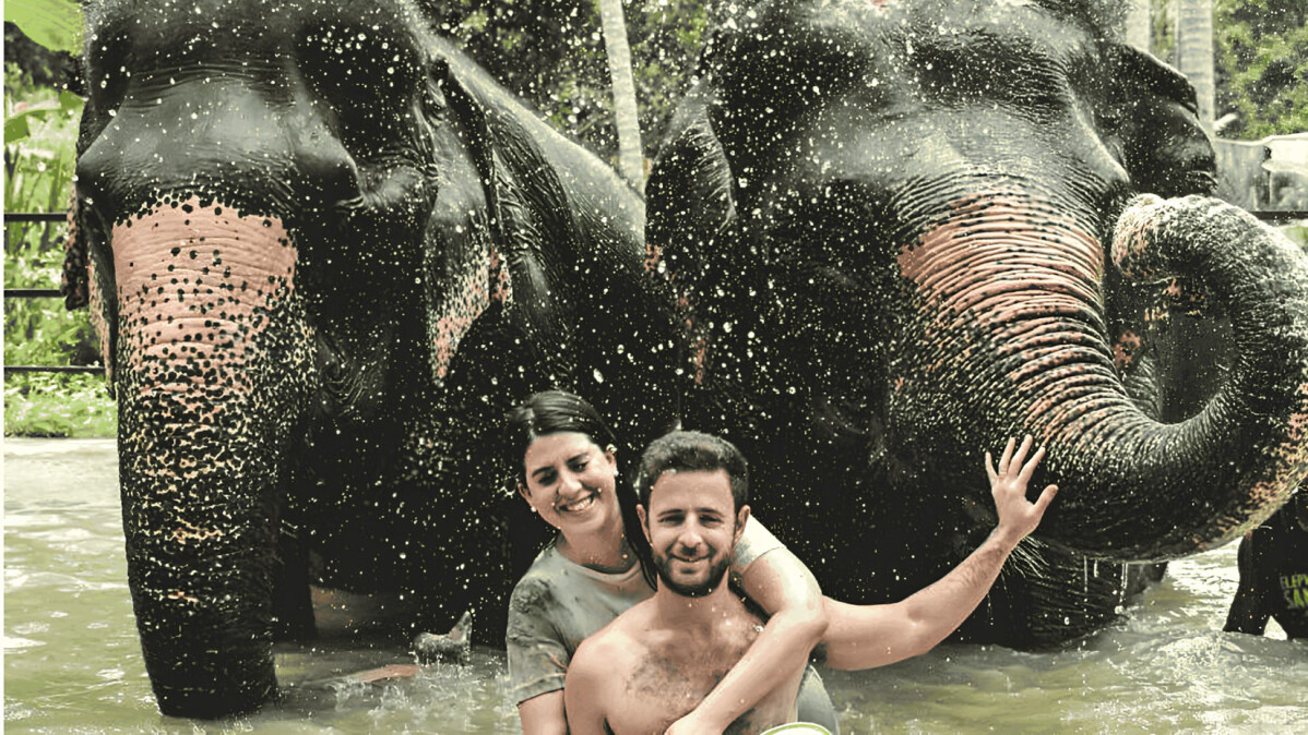 Photo by Elephant Jungle Sanctuary