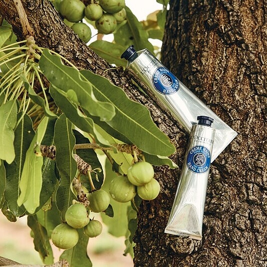 L&rsquo;OCCITANE歐舒丹乳油木護手霜30ml，NT420、75ml，NT900、150ml，NT1,220