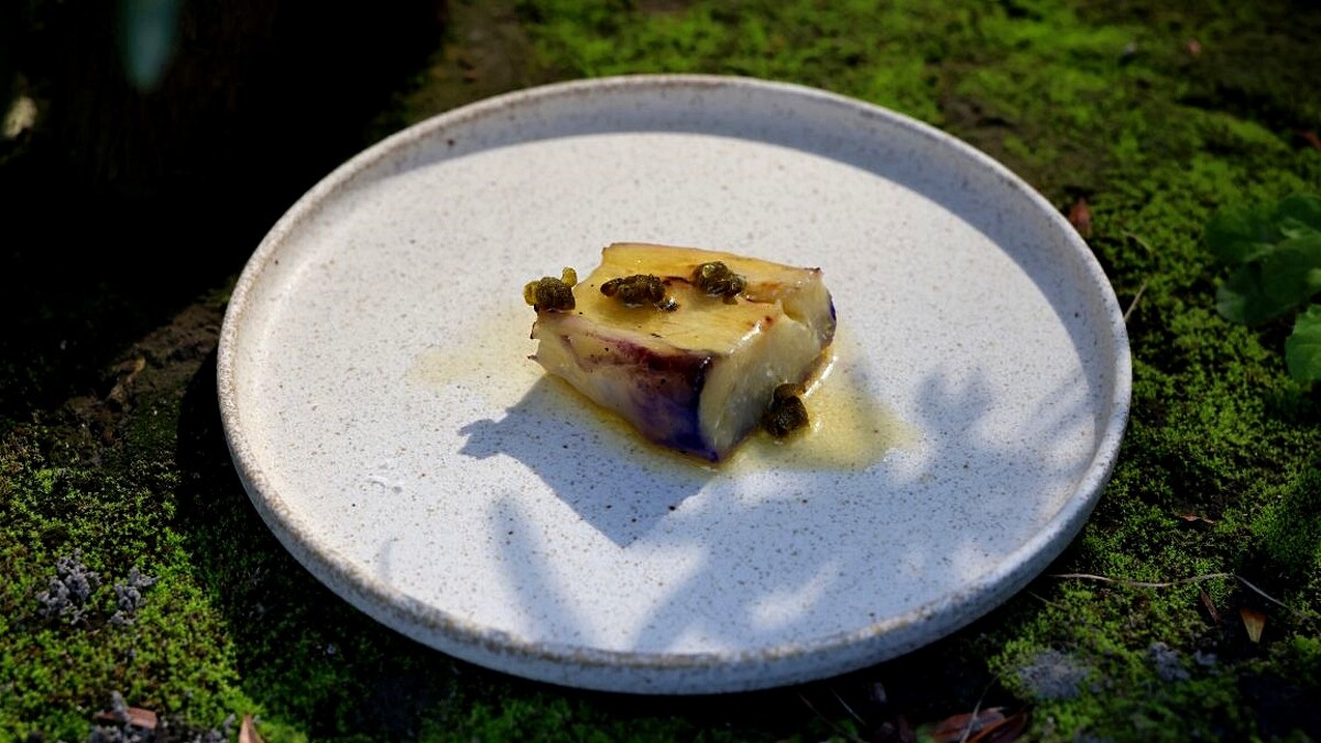 渥達尼斯磨坊2025夏季新菜：岩霧