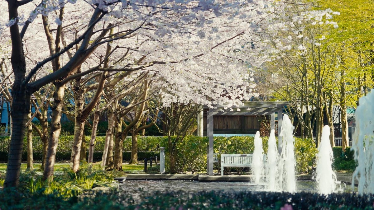 Photo / 塔羅耳語