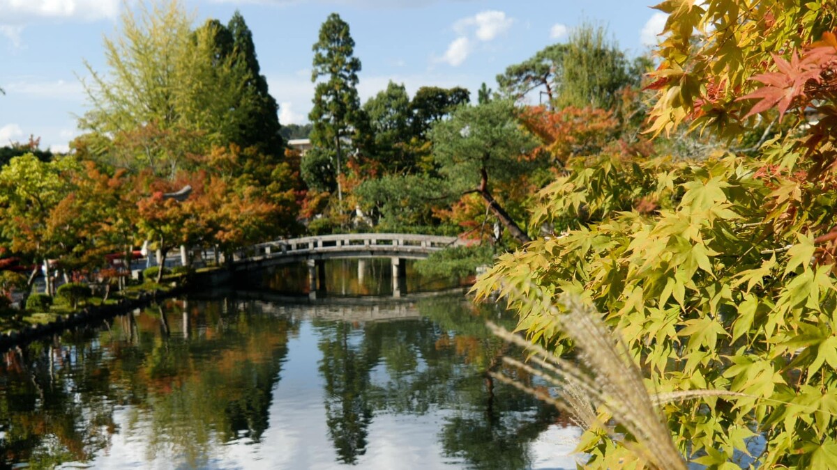 Photo / 塔羅耳語