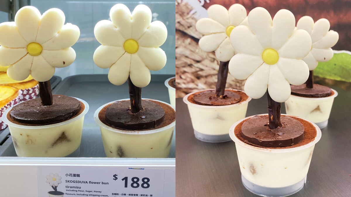 IKEA小花蛋糕特寫，以饅頭製成雛菊造型，搭配提拉米蘇盆栽底座