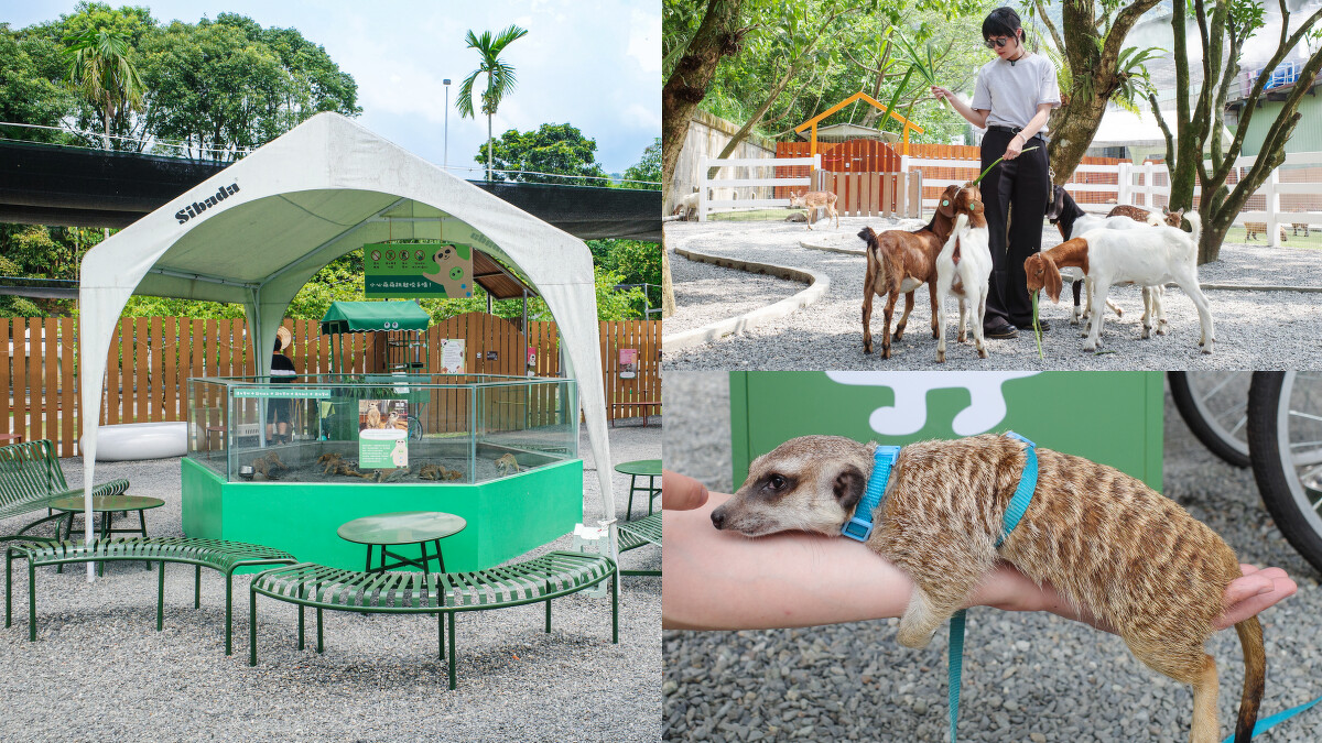 「萌萌森林物語」能與可愛小動物互動