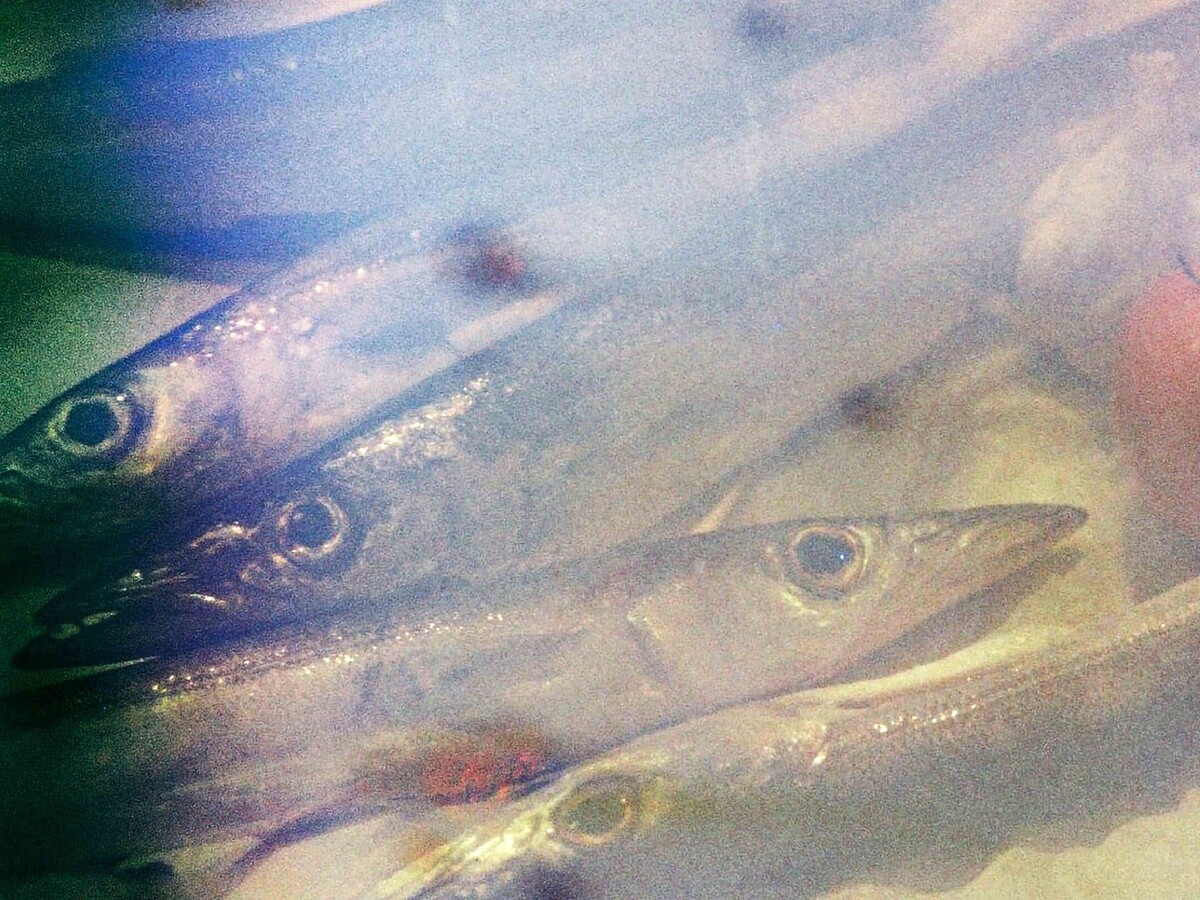 「親愛的台灣,戶外影像展」,劉千鈺 X 台灣共生青年協會《風景作證:餐桌上的記憶場》。圖/劉千鈺