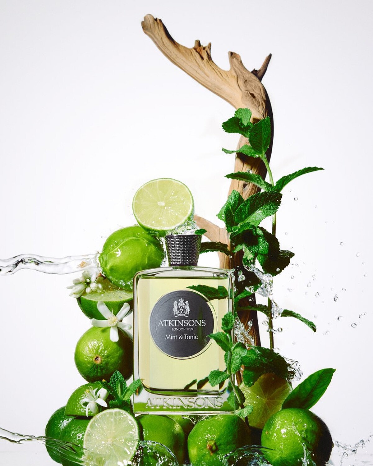 ATKINSONS阿特金森 MOJITO淡香精 100ml NT$6,250